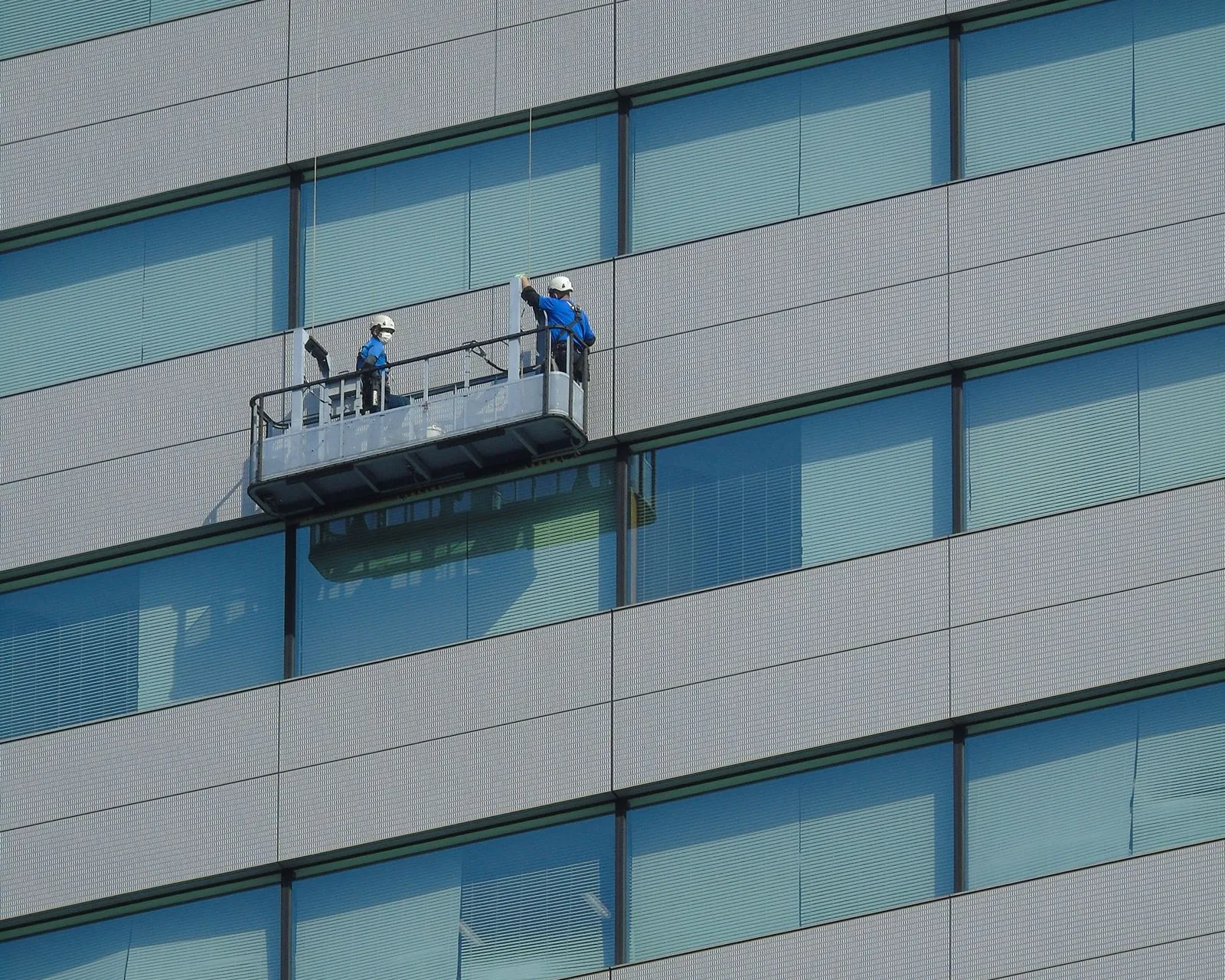 Professional window cleaners on a commercial building facade